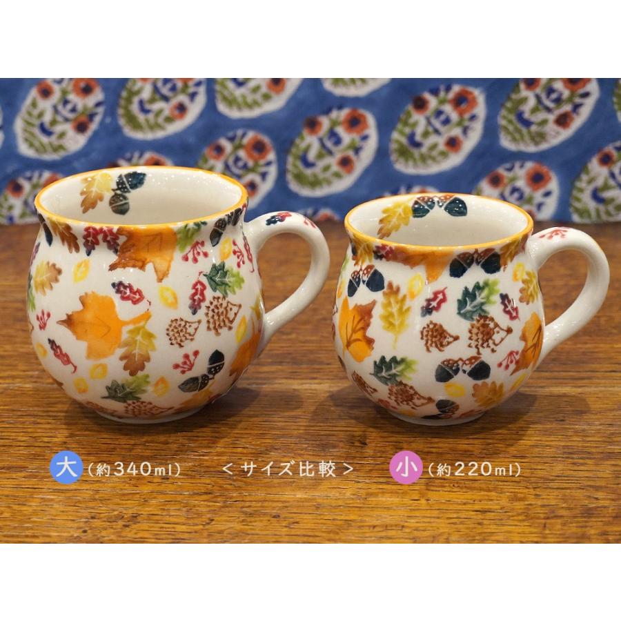 ポーランド陶器　ポーリッシュポタリー 「VENA」 マグカップ（約220ml） V337-U634　ハリネズミ柄 |  | 05