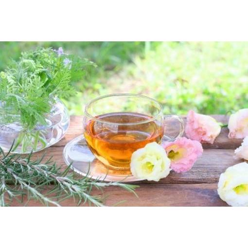 エステデティ (エステ・デ・ティー) : トップレディ・ショップ - 通販