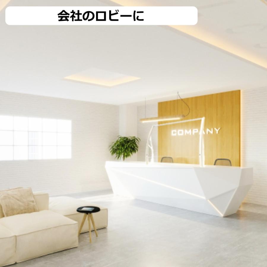 飛沫防止 パーテーション ヒサシールド 横幅60cm 100cm  飛沫ガード 飛沫感染防止 クリニック オフィス ホテル 対面時のウイルス飛沫拡散を防止 スニーズガード | ブランド登録なし | 02