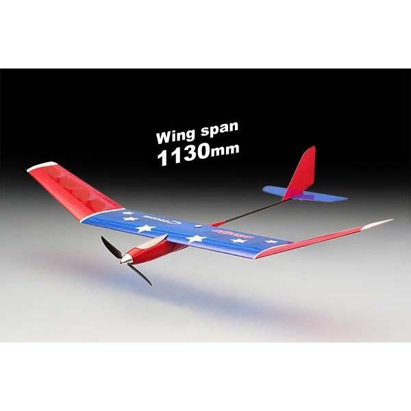 TOMOYUKI・友之、「花とフクロウ」、証明書付、額付、絵画 油絵 油彩画