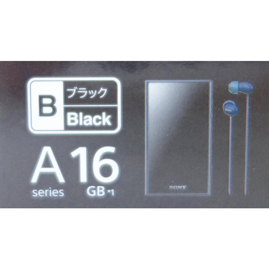 WALKMAN Aシリーズ ソニー SONY ウォークマン NW-A105HN(B) 16GB