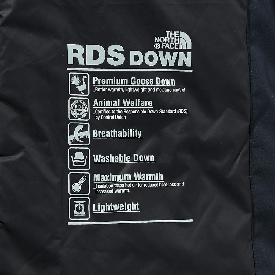 the north face premium city down jacket