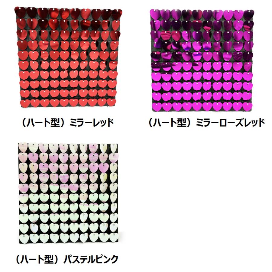 TRS スパンコール 100個 ブラックボードセット 300×300mm シルバー