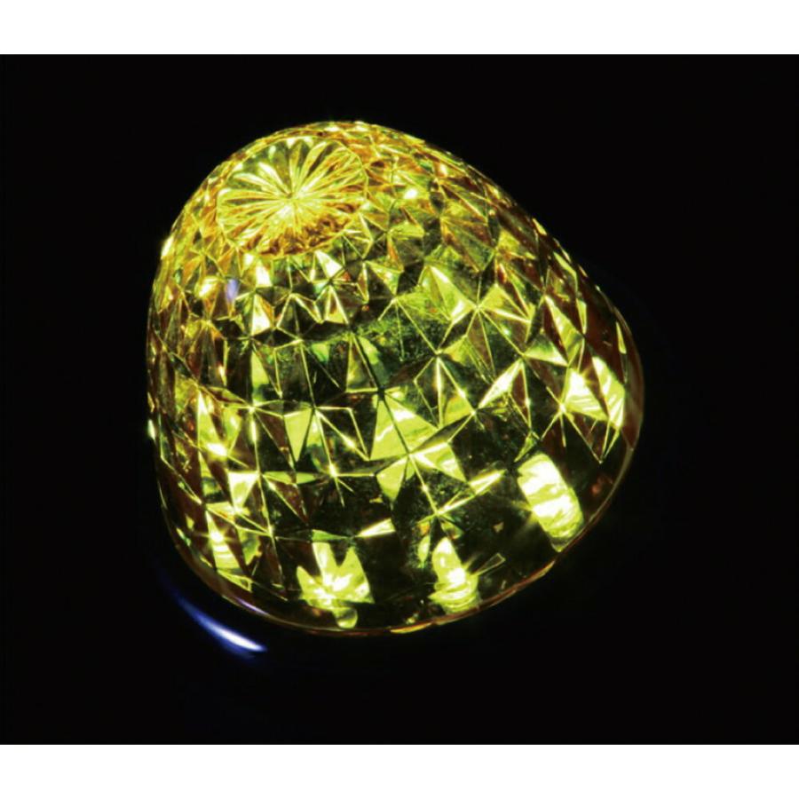 ジェットイノウエ マーカーランプ トラック用品 LED スターライトバス 