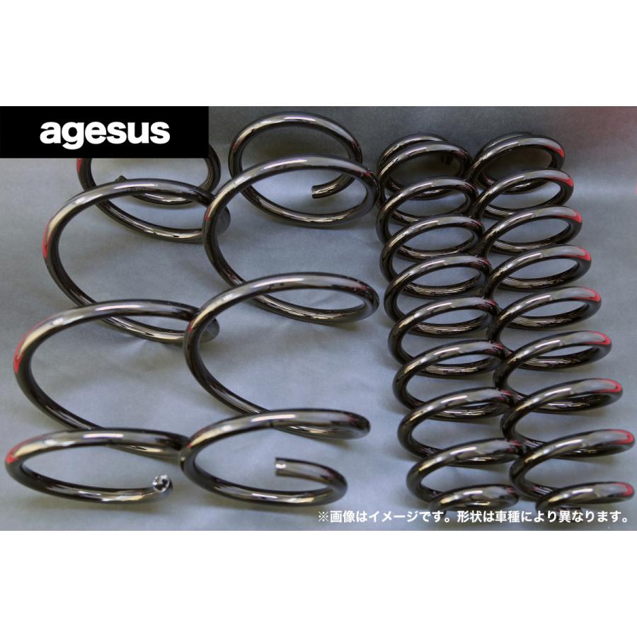 アゲサス プロボックス (NCP58G/NCP50V/NCP51V)用 agesus リフト アゲサス プロボックス (NCP58G/NCP50V/NCP51V)用 agesus リフト