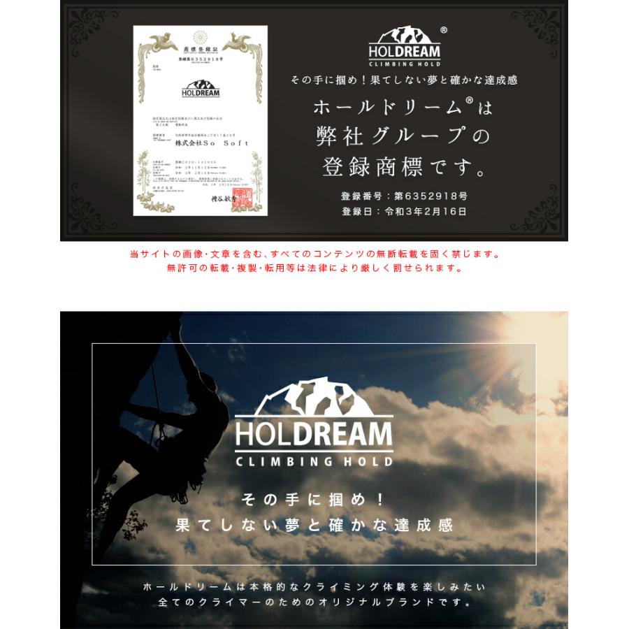 HOLDREAM クライミング ホールド 30個 ミックスカラー プロ仕様