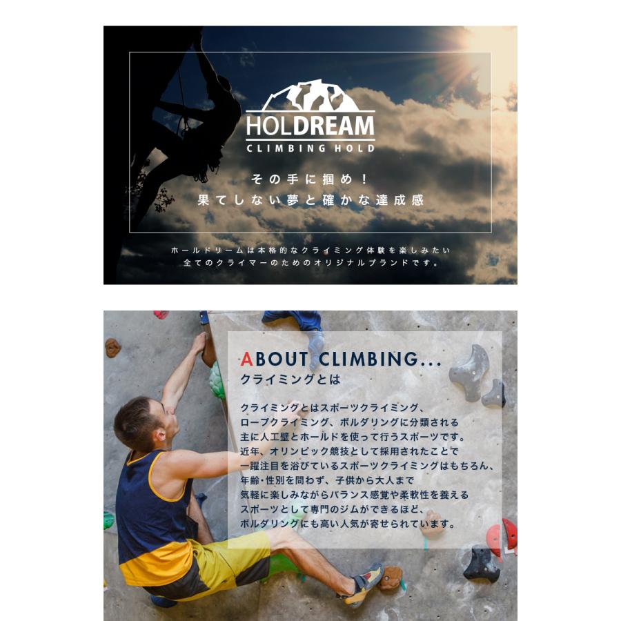 HOLDREAM クライミング ホールド 「サンプル1個」 プロ仕様 ボルダー 