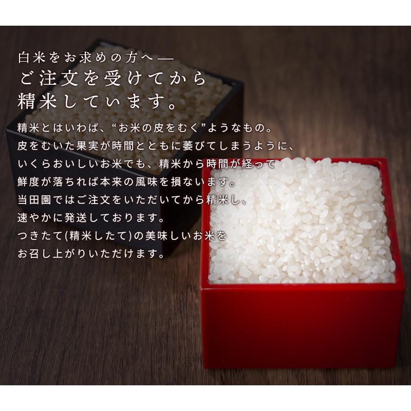 R5 京都産 ヒノヒカリ