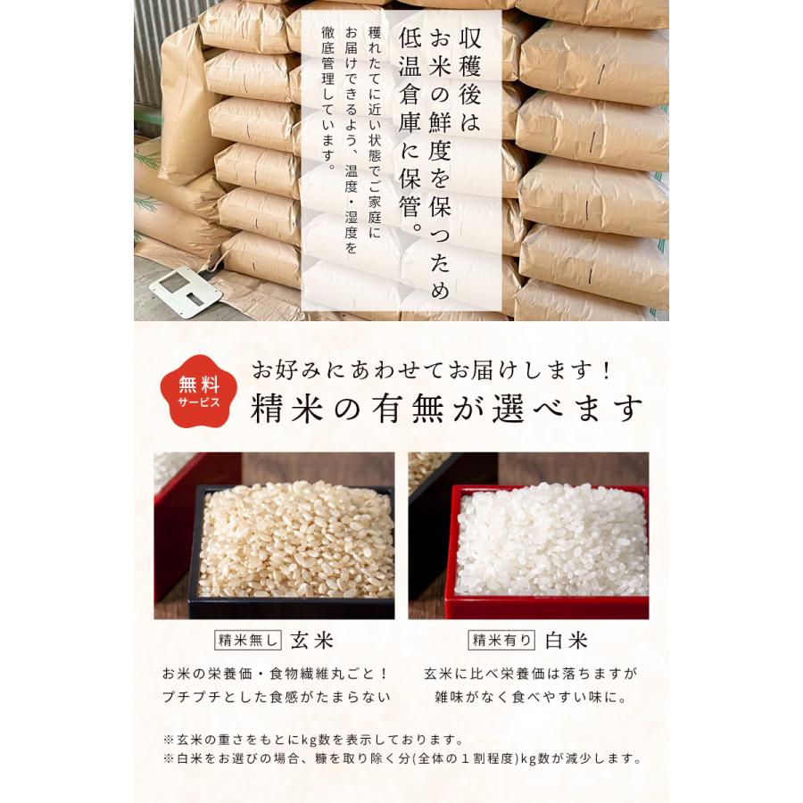 米 5kg 送料無料 京都府産 ヒノヒカリ 令和5年産 お米 白米 玄米 精米 宇治茶農家 有機栽培 減農薬栽培 洗米 100％ヒノヒカリ ノーブレンド 新米「takumu」｜toptrend｜12