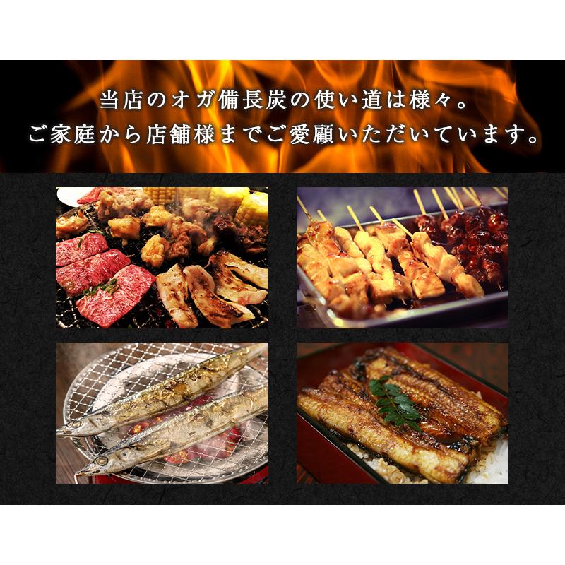 炭職人 炭 「2セット」炭職人 オガ炭 20kg (10kg×2箱) オガ備長炭 高