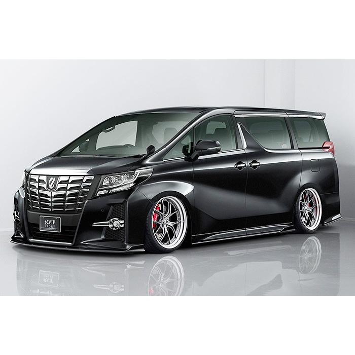 お得セット 30アルファード前期 リアスポイラー - 国内自動車本体