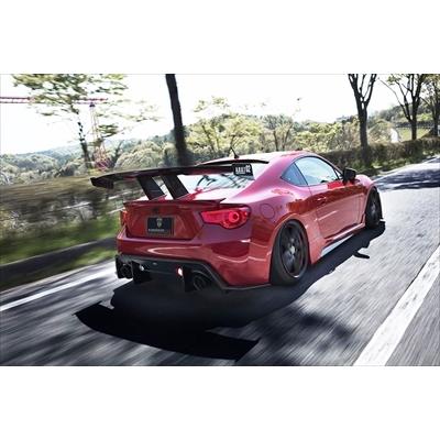 ZC6 BRZ 前期/後期 GT-F ノーマルフェンダーver リアアンダー