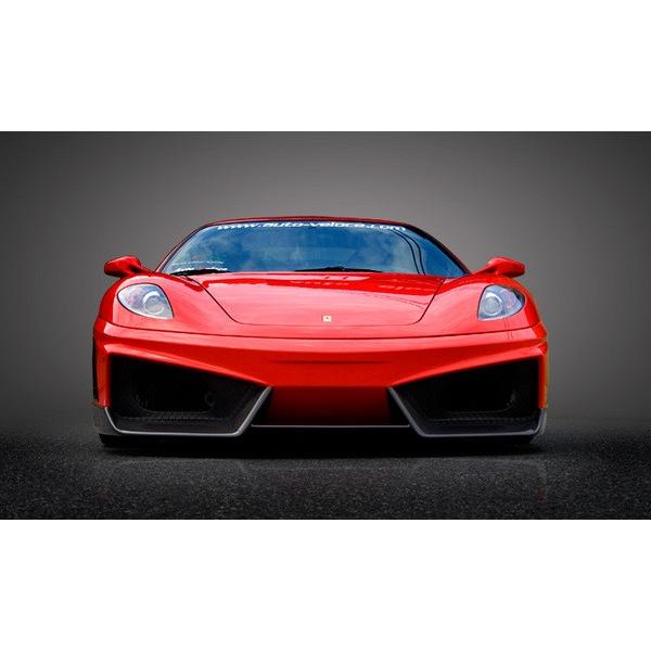 Ferrari F430 ストア 最大48%OFFクーポン フロントバンパー