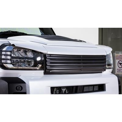 LA900S/LA910S タフト フロントグリル用 オプションアイライン 塗装
