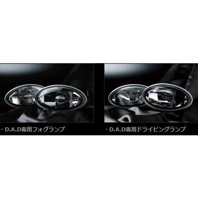 ギャルソン S-MX RH1.2 DAD LX EXCLUSIVE LAMP : エアロ
