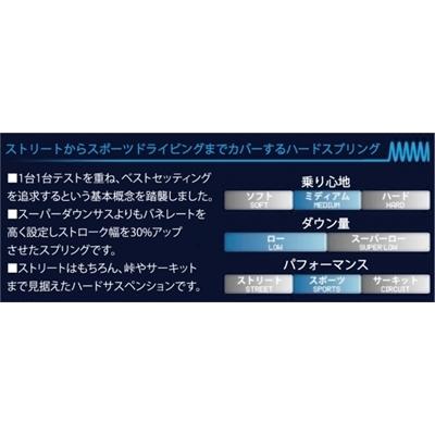 ESPELIR L880KコペンDOWNSUS セット ESPELIR]L880K コペン用スーパーダウンサスGT : ユニオン