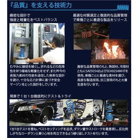 RSR Ti2000 ダウンサス 1台分セット ウィッシュ ZGE25W H21.4～H24.3