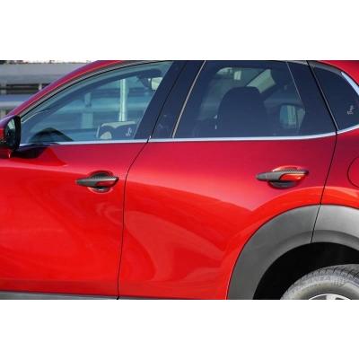 オートエクゼ DM CX-30 ドアハンドルカバー＆プロテクター セット