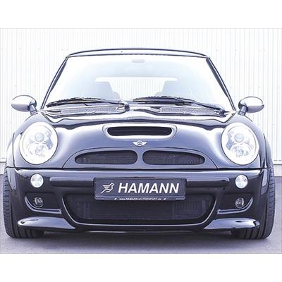 BMW MINI R50 フロントバンパースポイラー : hamz000381-000-00