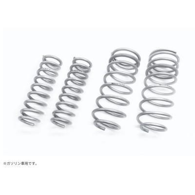 JAOS（ジャオス） 250系 ランドクルーザー BATTLEZ ローダウン