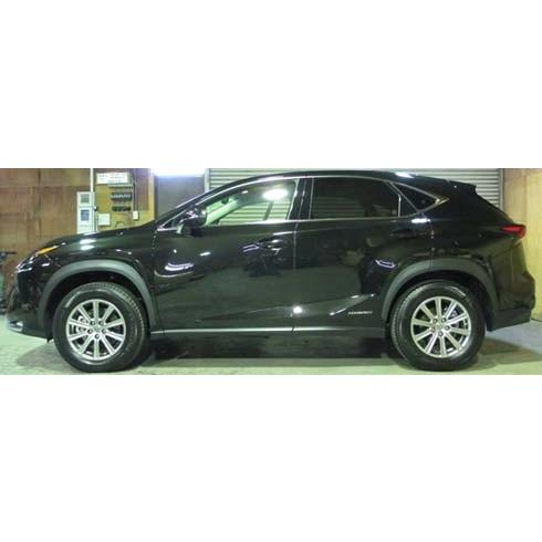 今月限定 特別大特価 Lexus Nx Nx300h Ayz10 ハイブリッド車用 フルタップ式車高調 最適な価格 Www Doctor Plan Com