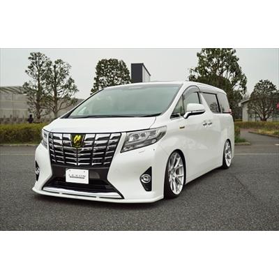 30 アルファード 前期 フロントリップスポイラー 塗装済み : エアロ