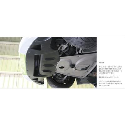 BMW 3 Series E92 M3 アンダーパネル ウェット カーボン : lptz000015 