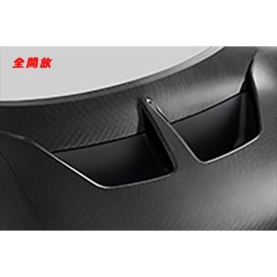 無限（MUGEN） S660 JW5 カーボンエアロボンネット : エアロ.カスタム