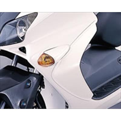 フォルツァ MF06 レッグガード 塗装取付込 : mgrz000028-000-pa 