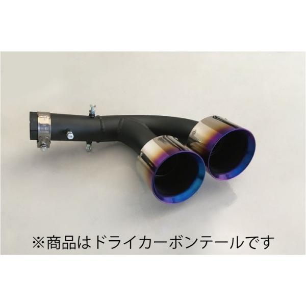 即納最大半額 S660 Jw5 6mt 純正バンパー装着車 リアルマフラーカッター ドライカーボンテール Highステン 取付込 全ての Dhis Pnlp Sn