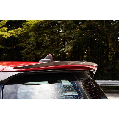 BMW MINI F54 JCW/JCW LCI ルーフスポイラー カーボン クリア塗装取付 