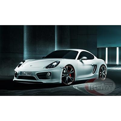 テックアート Porsche 981 Cayman エアチャンネルトリム 塗装済み