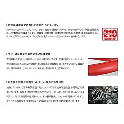 TANABE - ムーブ L902S SUSTEC DF210 サスペンション