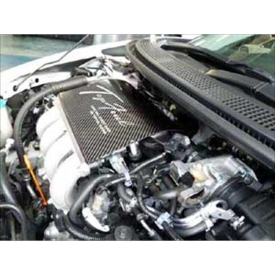 CR-Z ドライカーボンインマニカバー Lサイズ ロゴカラーシルバー 