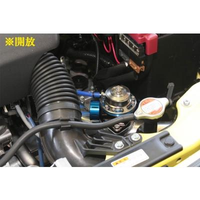 TRUST（トラスト） ZC33S スイフトスポーツ GReddy ブローオフバルブ