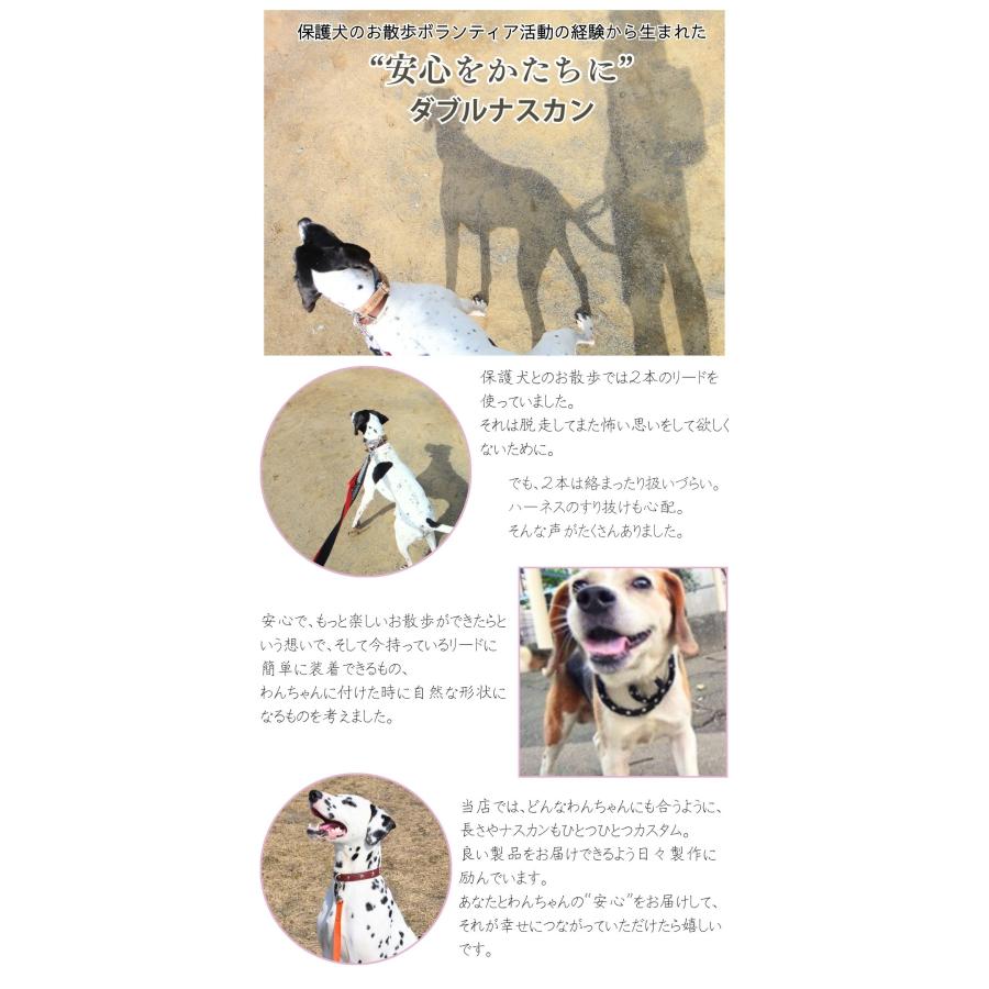 すっぽ抜け防止 ダブルリード 刺しゅう 名入れ 小型犬用 中型犬用 外れ防止  絡まない 外れない 二重リード 二重フック リード 日本製 TOPWAN ハーネス | TOPWAN | 10