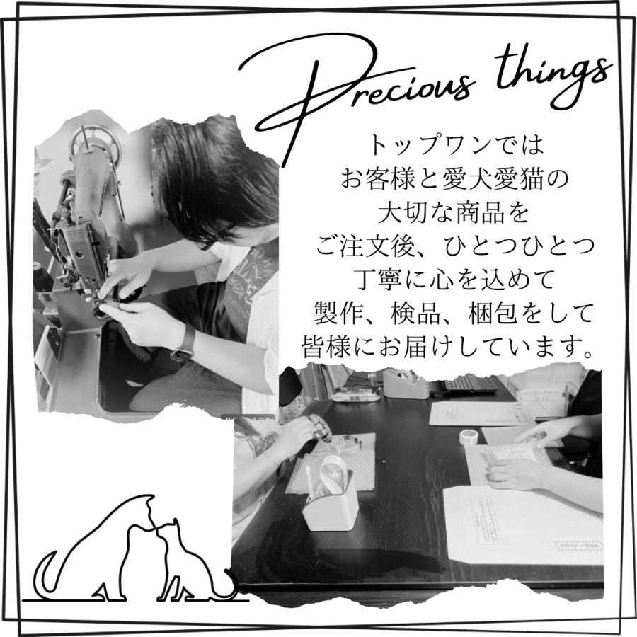 すっぽ抜け防止 ダブルリード 刺しゅう 名入れ 小型犬用 中型犬用 外れ防止  絡まない 外れない 二重リード 二重フック リード 日本製 TOPWAN ハーネス | TOPWAN | 11