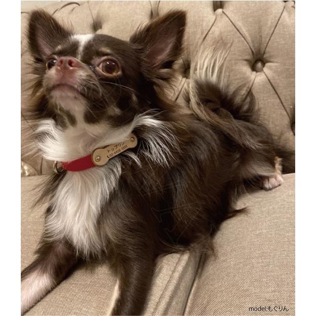 TOPWAN（トップワン） 猫 迷子札 首輪 日本製 HappyBone首輪 猫用