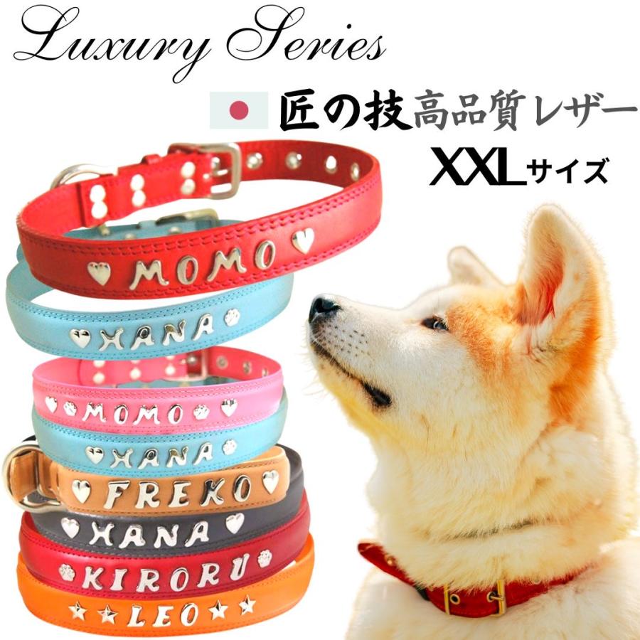 オーダー ネーム名入れ 首輪 TOPWAN（トップワン） イニシャル 首輪 XXLサイズ 犬 首輪 レザー