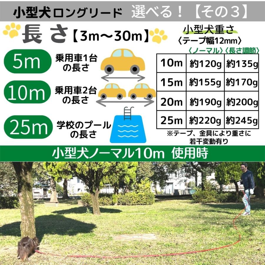 10 メートル どのくらい