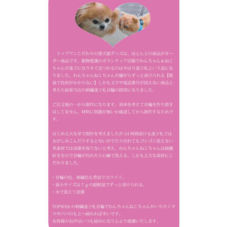 犬 迷子札首輪 Mサイズ 日本製 小型犬 中型犬 迷子札 刺繍なので文字が消えない 首周り23ｃｍ前後から制作可能 Topwan 名前入 名入れ 刺繍ネーム首輪 Shisyucollar N M トップワン こだわりの愛犬グッズ 通販 Yahoo ショッピング