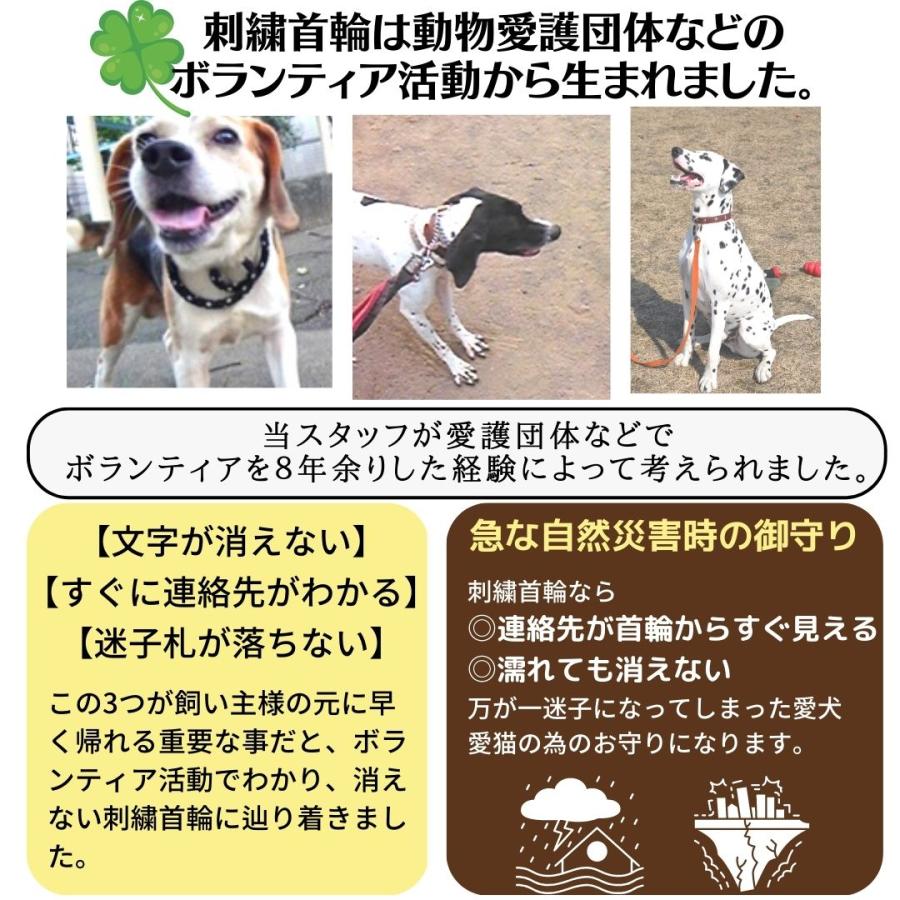 TOPWAN（トップワン） 犬 迷子札 Mサイズ 小型犬 中型犬 犬用迷子札
