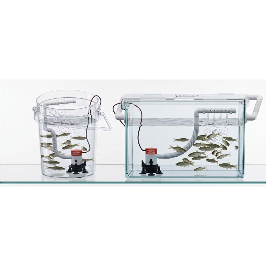 いけす・クーラーボックス水循環ポンプ SEAFLO エアレーターポンプ