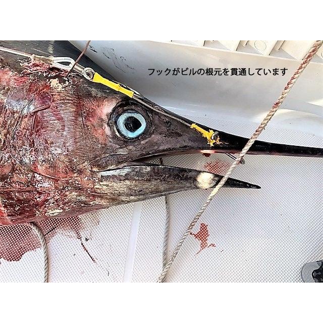 トップウォーター１０個 トップウォーターカスタムマリーンフック 10/0 : トップウォーター