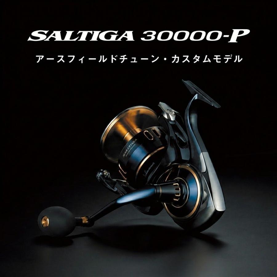 25ソルティガ 30000-P アースフィールドチューン カスタム / 300kgマグロ対応 ダイワ 25 SALTIGA 125cm巻取 2026年モデル_5