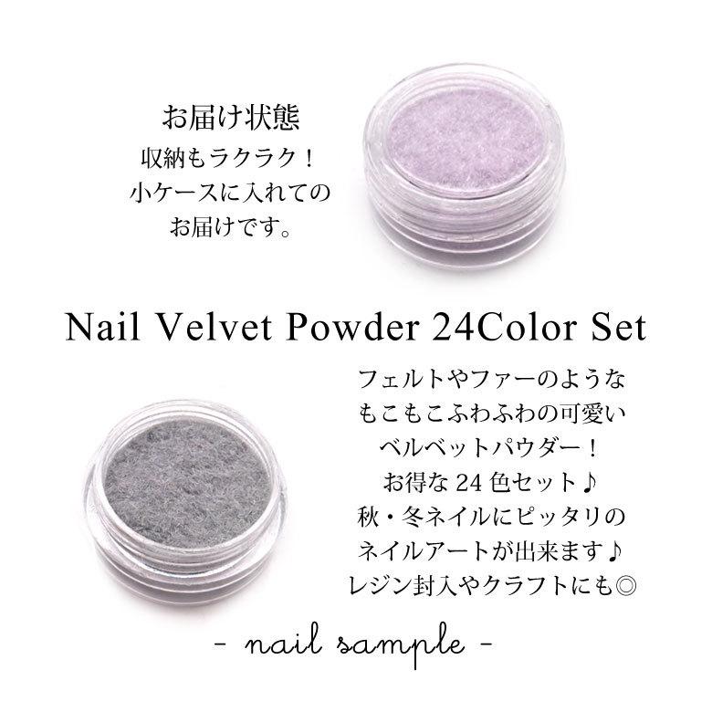 ネイル ベルベット パウダー 全24カラーセット 素材 : ココロネイル