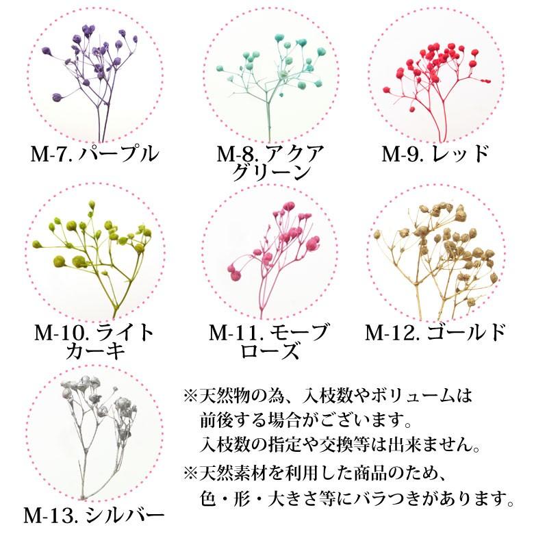 ドライフラワー ミニかすみ草 全13色 ココロネイル Kokoronail 通販 Yahoo ショッピング