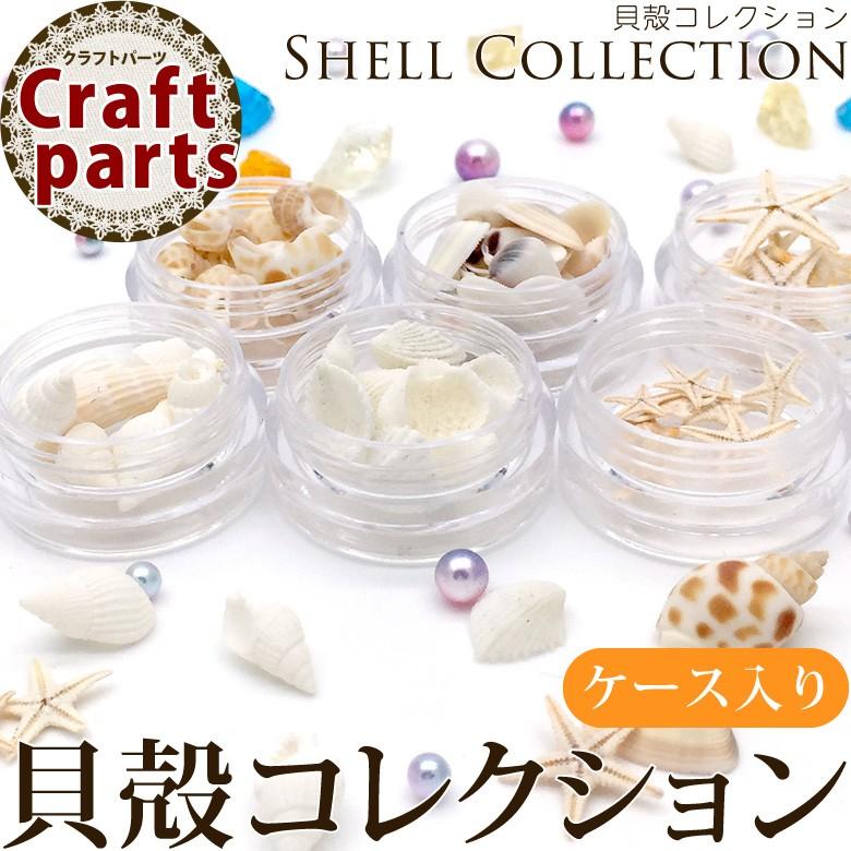 貝殻コレクション ケース入り : ココロネイル KokoroNail - 通販