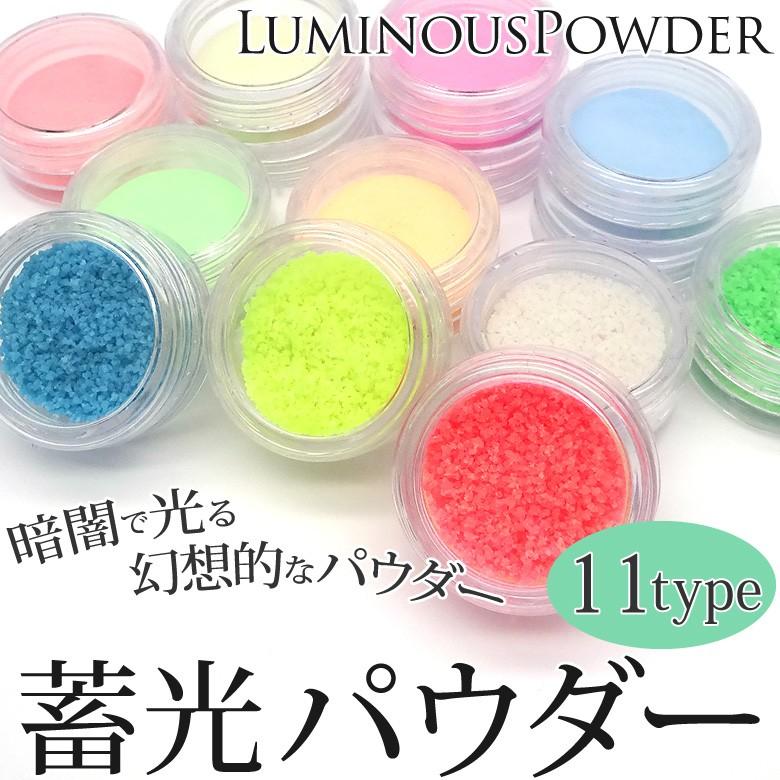 蓄光パウダー ケース入り 約2g 予約