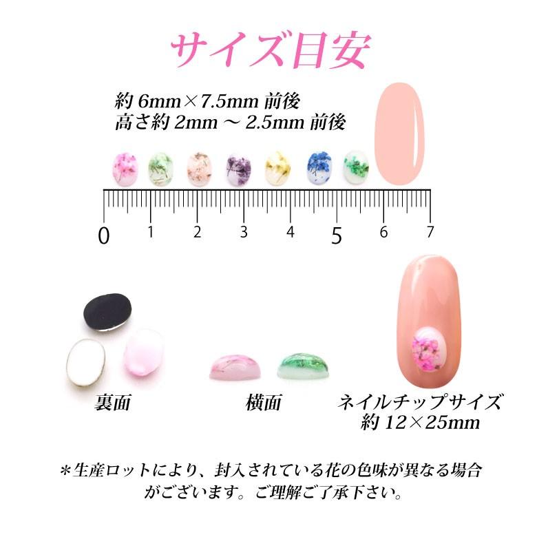 ラインストーン 押し花入り ストーン 全19色 : ココロネイル